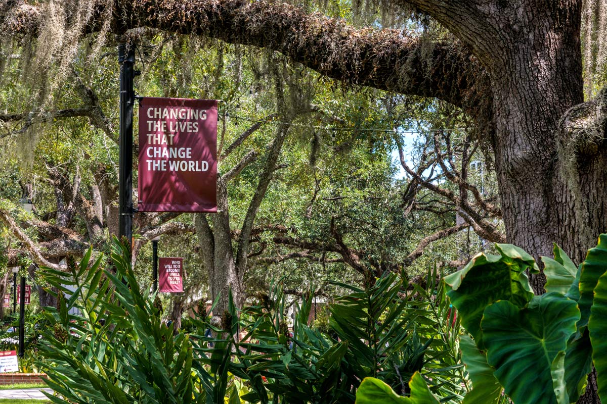 Choose a Degree from Florida State University