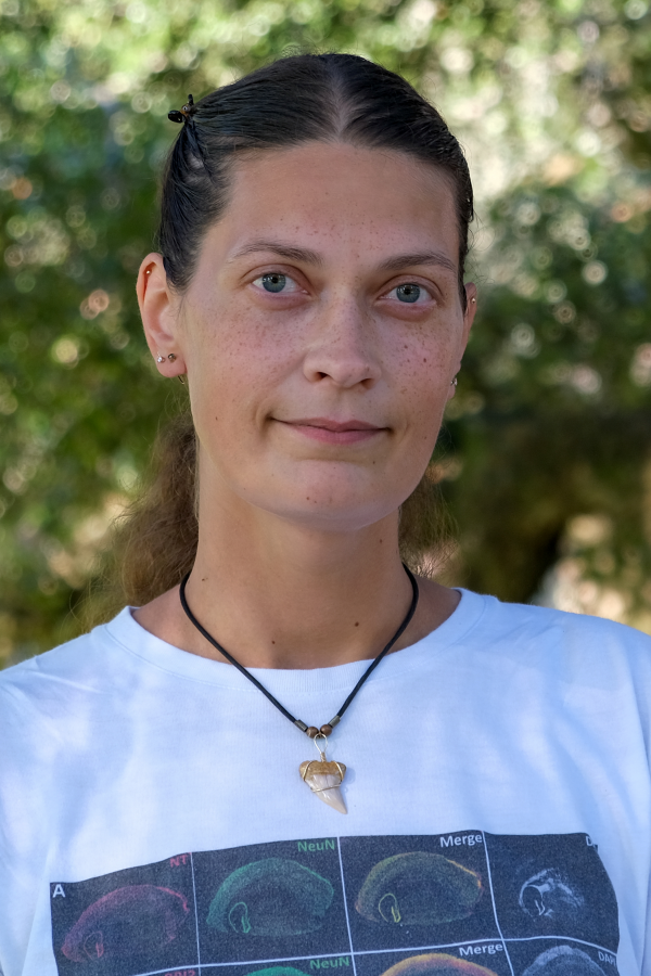 Helene Tigro
