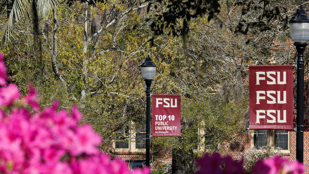 Florida State University campus scene with garnet FSU banners along a tree-lined walkway, framed by bright pink flowers in the foreground.