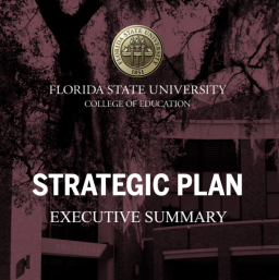 Strategic Plan Exec Summary