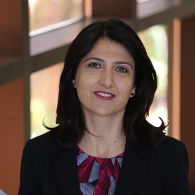 Dr. Arzu Gungor Leushuis