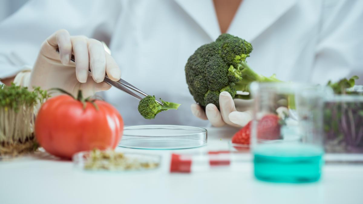 Bachelor of Science in Food and Nutrition